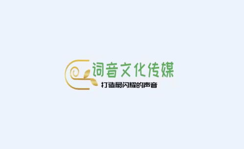 词音文化传媒